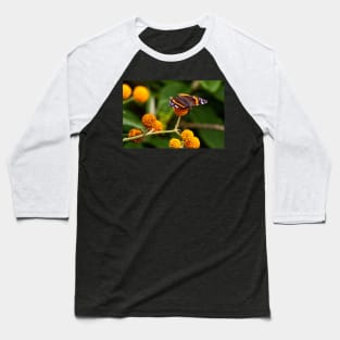 Beautiful Butterfly basking on Buddleia bush. Baseball T-Shirt